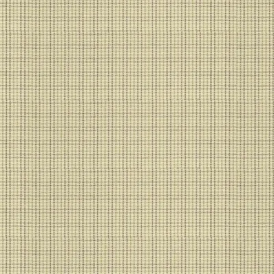 ERHARDT Markisentuch PA525, Natur & Sand
