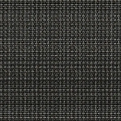 ERHARDT Markisentuch PA644, Grau & Schwarz